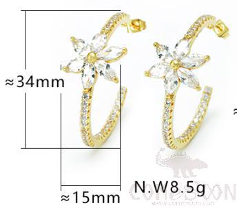 Earring / Dangler / Eardrop / Jewelry
XYS101012