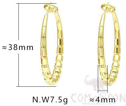 Earring / Dangler / Eardrop / Jewelry
A0006