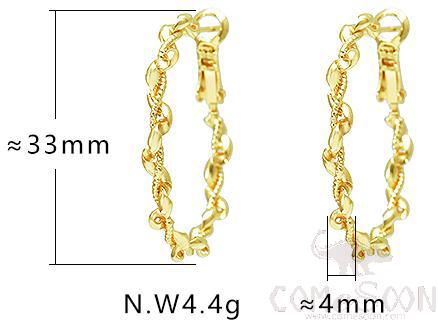 Earring / Dangler / Eardrop / Jewelry
A0013