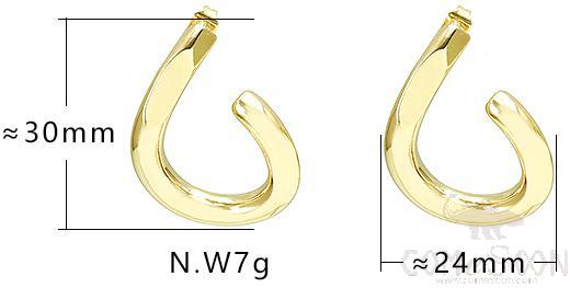 Earring / Dangler / Eardrop / Jewelry
A0019