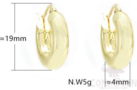 Earring / Dangler / Eardrop / Jewelry
XYE103985