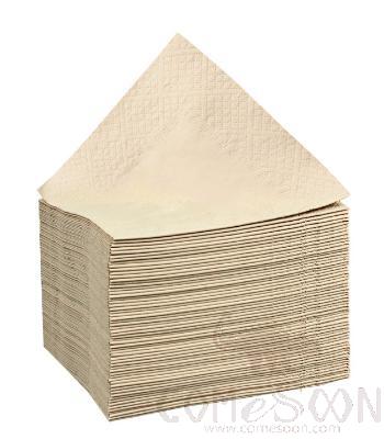 Natural Color Napkin 40cm