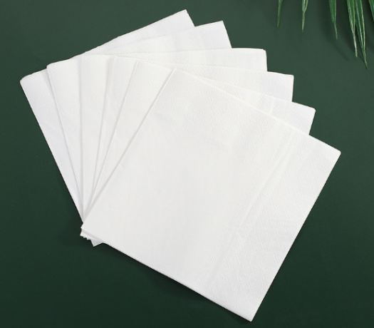 White Color Napkin 23cm