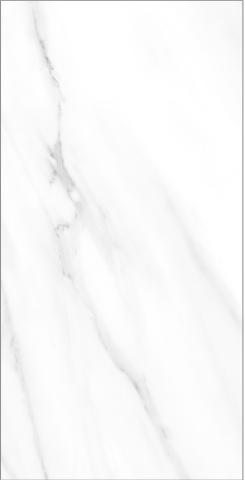 Indoor wall tiles - 400*800*8