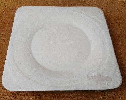 Square Plate Round 10 Inch