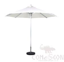 Patio Umbrella，48 Column，D300Cm