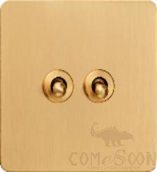Double Gang Switch
