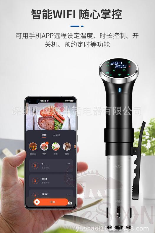 Immersion circulator