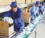 Labor packing cost