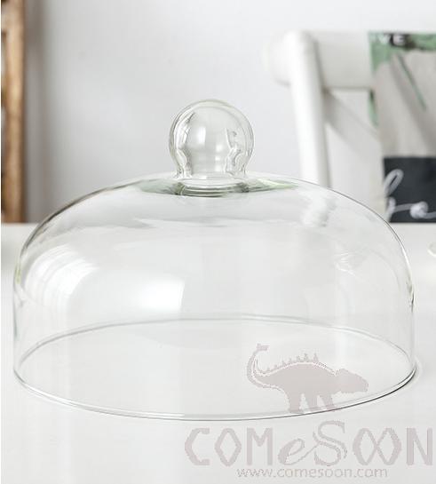 Clear glass cover,26cm