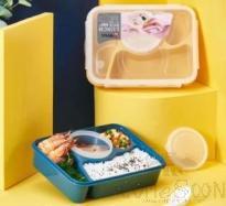 Sealed Microwave Lunch Box,PP,23*17.5*6.5cm