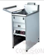 electric fryer