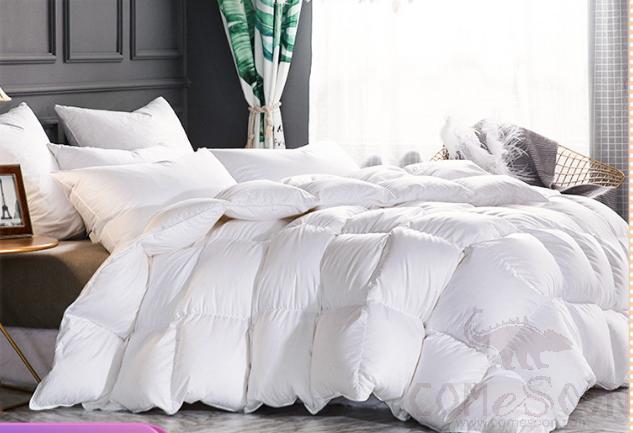 90% White Goose Down Duvet Natural TWIN,Cotton，200*240cm