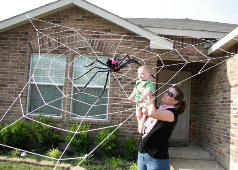 Spider web ，Halloween
