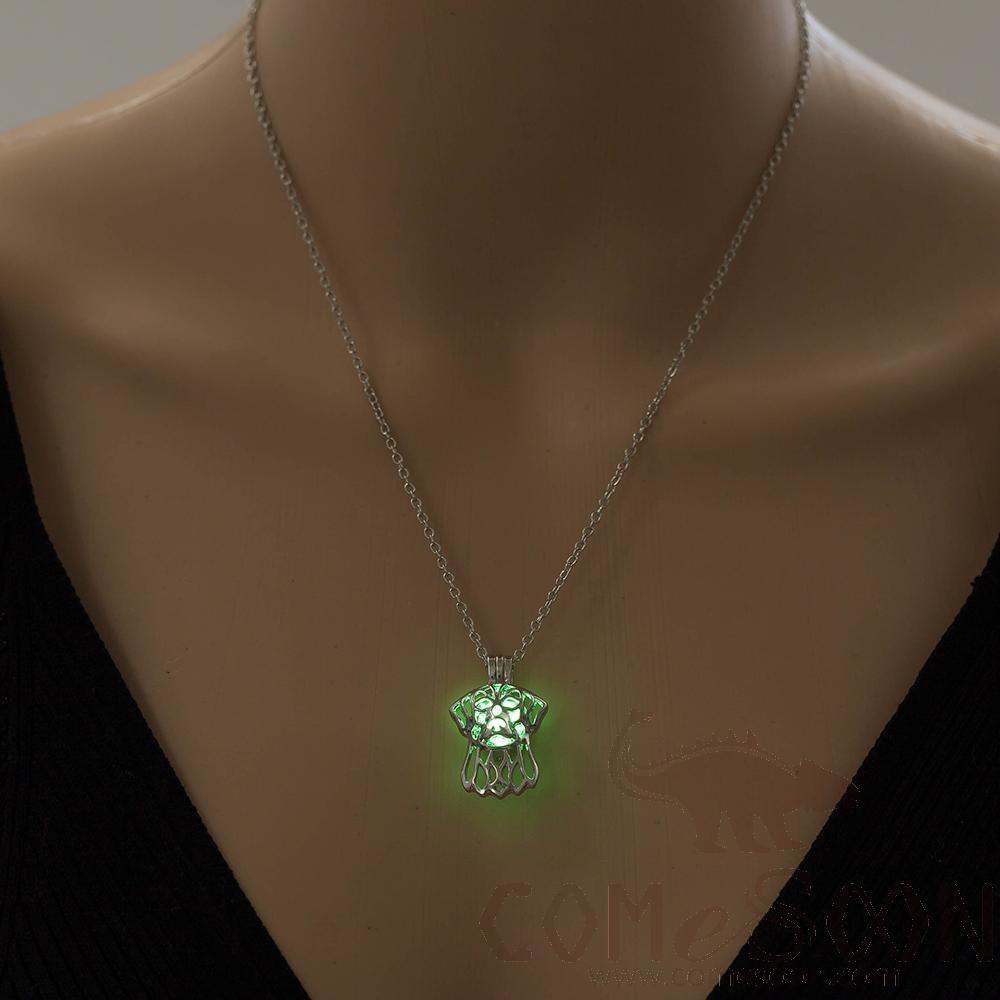 Necklace / Jewelry           NY756