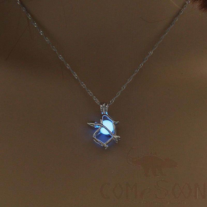 Necklace / Jewelry           NY022
