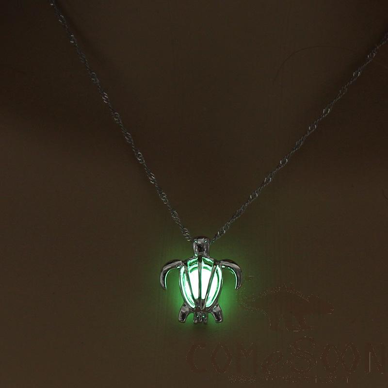 Necklace / Jewelry           NY092