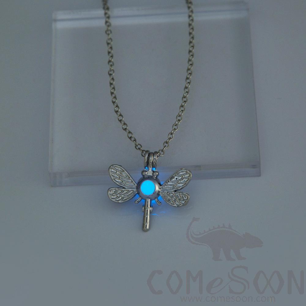 Necklace / Jewelry           NY441