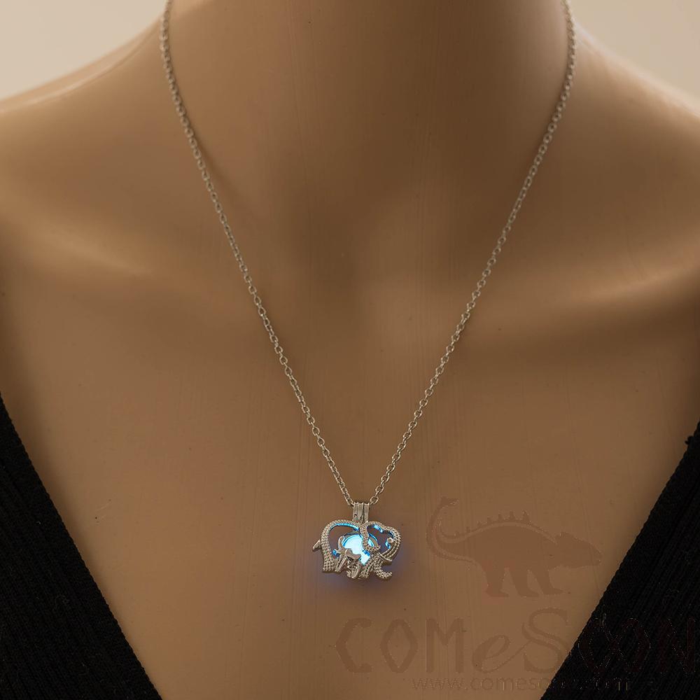 Necklace / Jewelry           NY469
