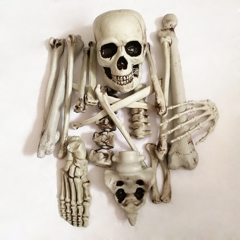 Skulls and Bones