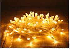 Remote Control 10 Meters Light String 100 Lights, Warm White, 220V