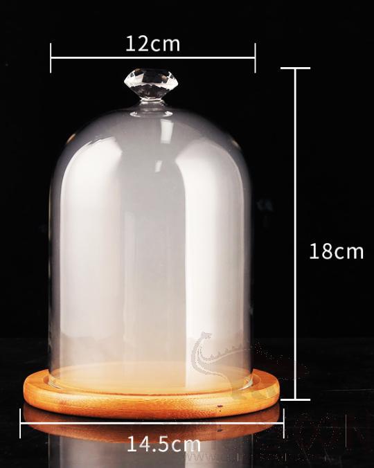 Molecular cooking smoke cover, D 12*H 18cm