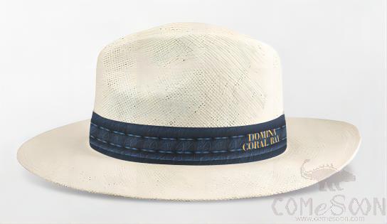 Straw Hat With Logo，Leather ，MOQ100