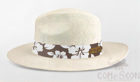 Straw Hat With Logo，Ribbon , MOQ100