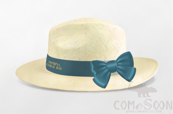 Straw Hat With Logo，Ribbon With Bow , MOQ500