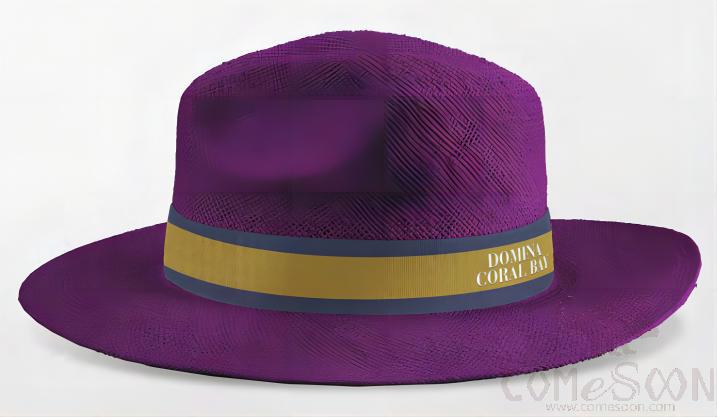 Straw Hat With Logo，Ribbon,Children,Purple,2-5 Years Old