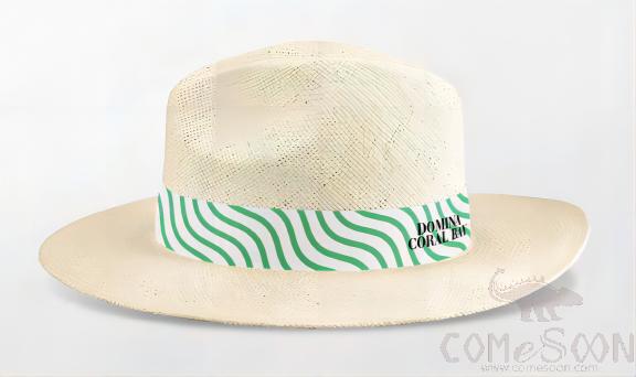 Straw Hat With Logo，Ribbon,Adult Male,Off-White-White,S Code
