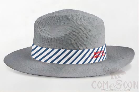 Straw Hat With Logo，Ribbon,Adult Male,Gray,S Code
