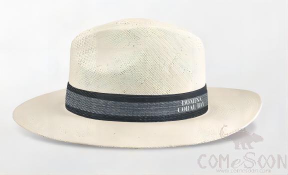 Straw Hat With Logo，Ribbon,Adult Male,White,S Code