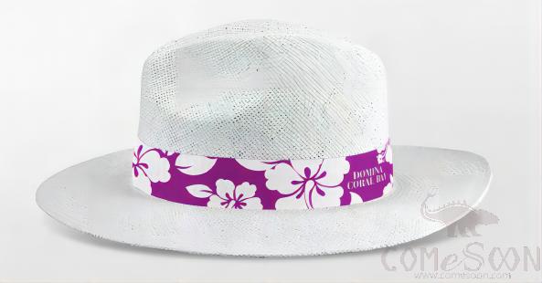 Straw Hat With Logo，Ribbon,Adult Women,White,M Code