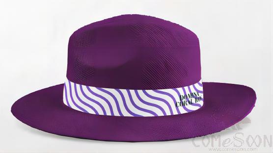 Straw Hat With Logo，Ribbon,Adult Women,Purple,L Code