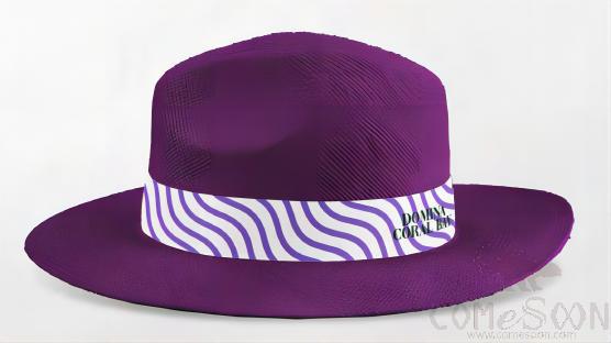 Straw Hat With Logo，Ribbon,Adult Women,Purple,S Code