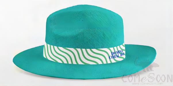 Straw Hat With Logo，Ribbon,Adult Women,Blue,M Code