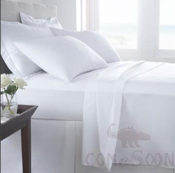 Flat Sheet,Cotton,200*300cm