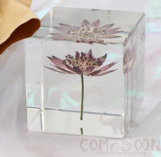 Resin Handicraft, 5*5*5cm, Celery flower