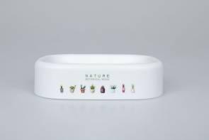 3318 Printed Soap Dish-Succulents,PP,13*10*2cm