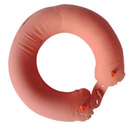 Life ring