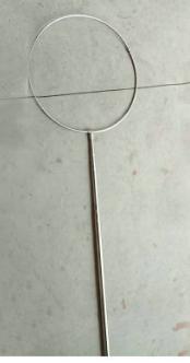 Extendable Pole and Hoop