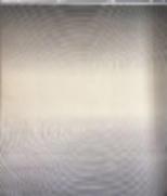 Wilton carpet-200*290mm