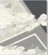 Wilton carpet-240*340mm