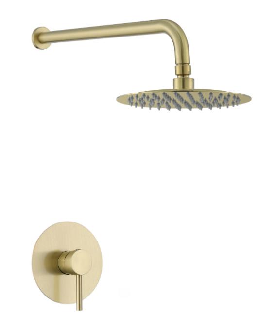 Concealed Shower-Brass