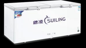 Soid Top Chest Freezer (Two Doors) 
2575*930*945mm
