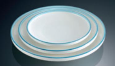 Blue Edge YYblueline Series- Plate 10&quot;