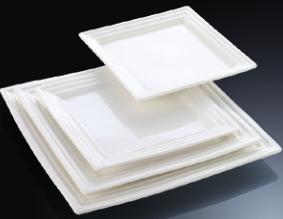 YY Series- Square Plate 10&quot; Line