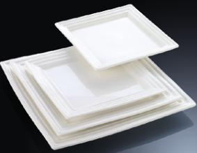 YY Series- Square Plate 12&quot; Line