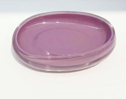 Toothbrush holder，PS，purple，13.8*9.5*2.8 cm